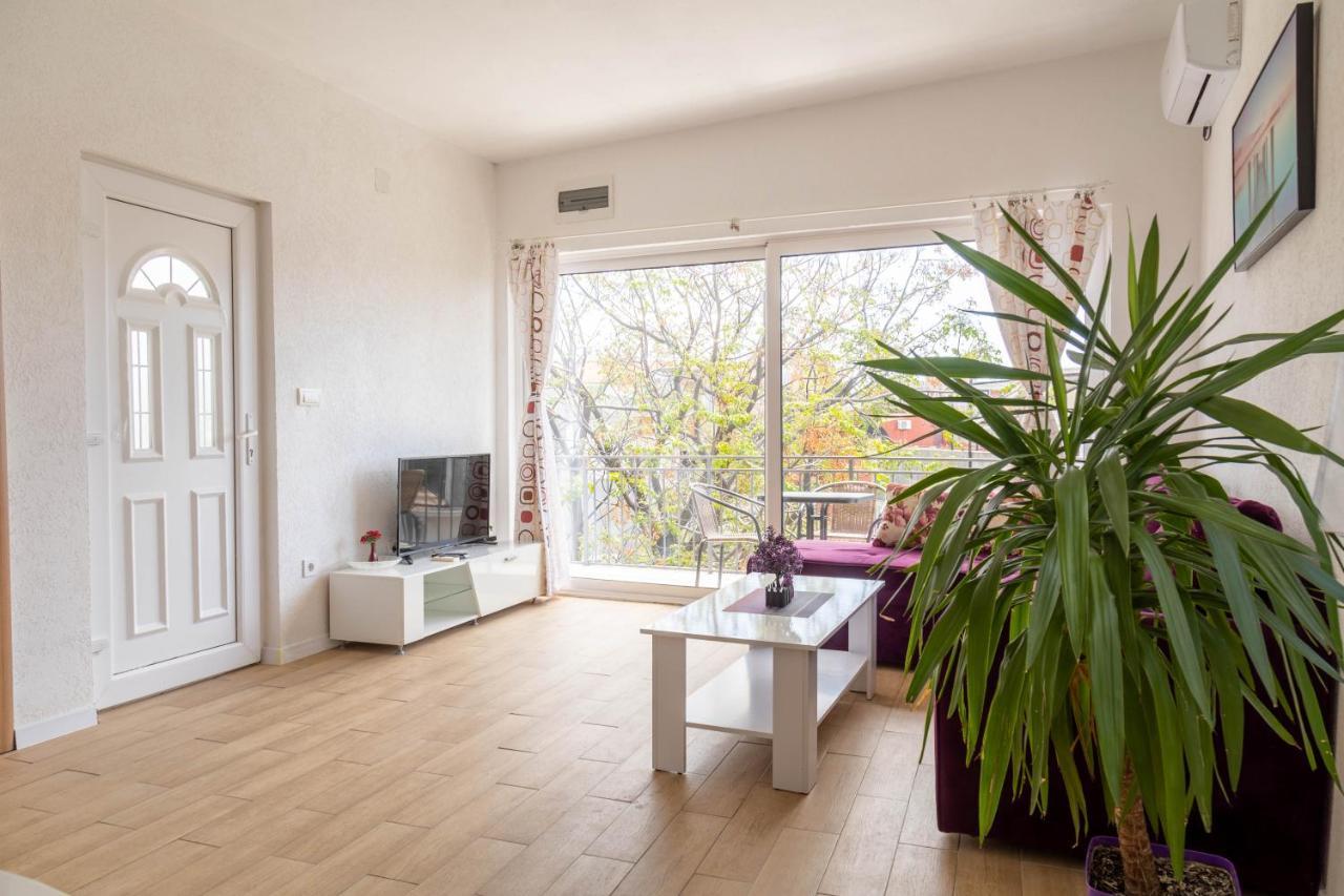 Apartmani Marojevic, بار المظهر الخارجي الصورة
